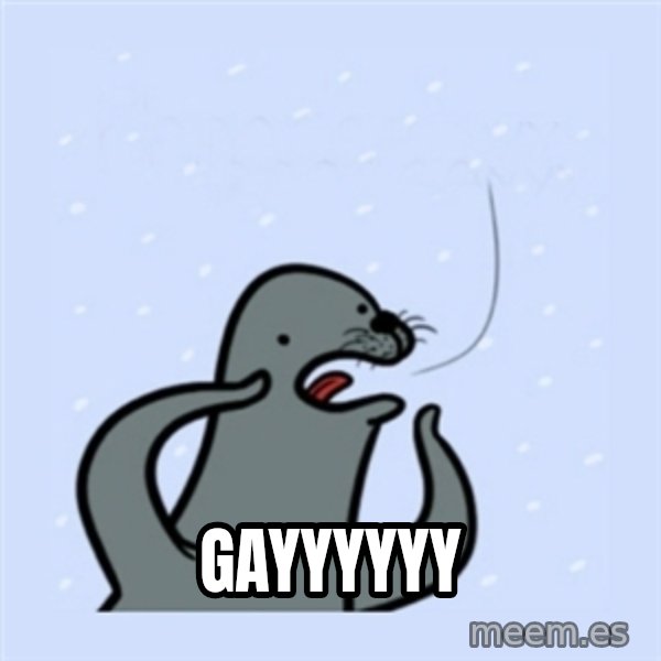 gay seal meme: Gayyyyyy