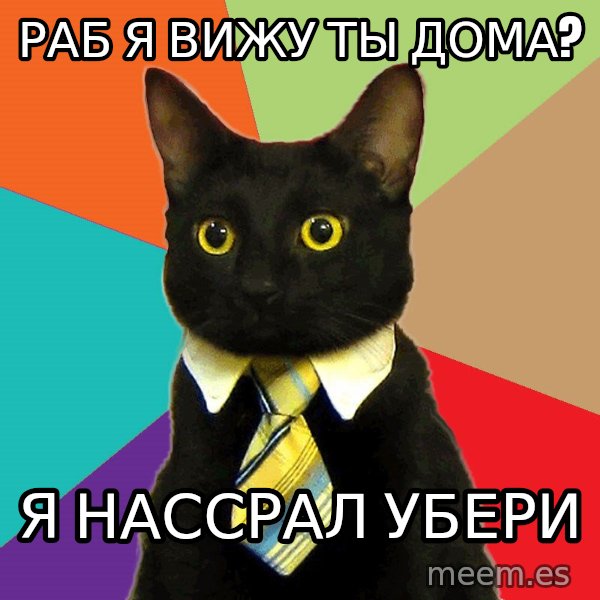 Business Cat meme: РАБ Я ВИЖУ ТЫ ДОМА? / я НАССРАЛ УБЕРИ