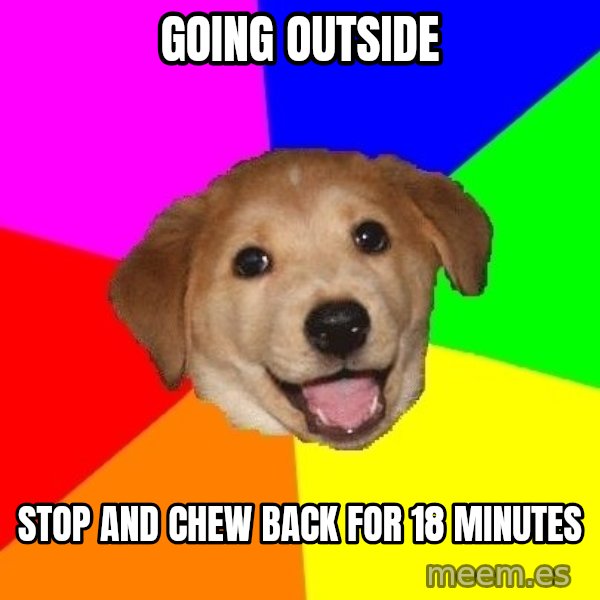 Advice Dog meme: going outside / stop and chew back for 18 minutes