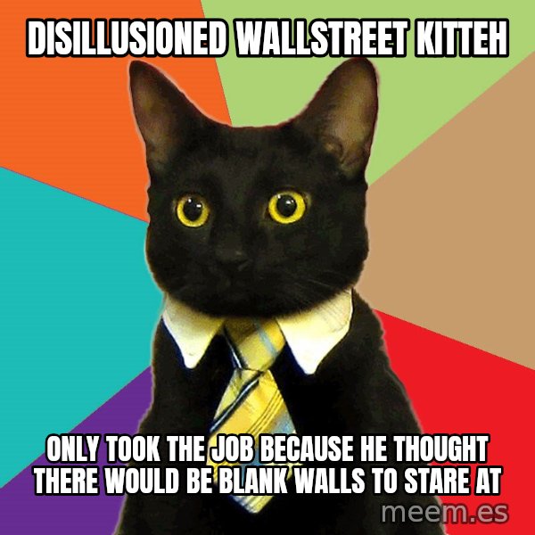 Business Cat meme: disillusioned wallstreet kitteh / only took the job because he thought there would be blank walls to stare at