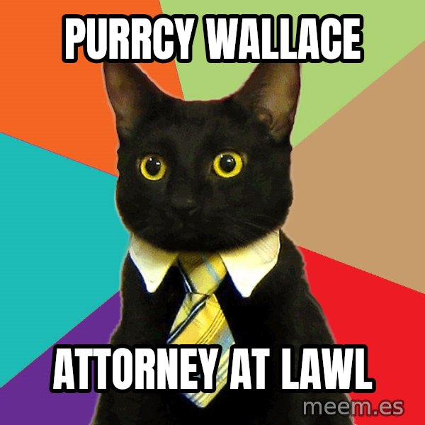 Business Cat meme: Purrcy Wallace / Attorney At Lawl