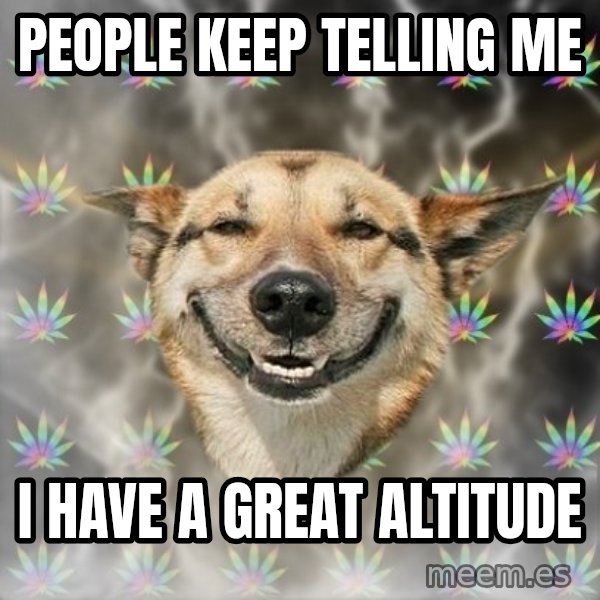 Stoner Dog meme: PEOPLE KEEP TELLING ME / I HAVE A GREAT ALTITUDE