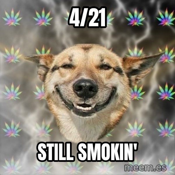 Stoner Dog meme: 4/21 / Still smokin'