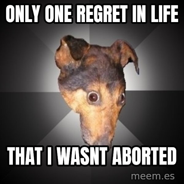 Depression Dog meme: ONLY ONE REGRET IN LIFE / THAT I WASNT ABORTED
