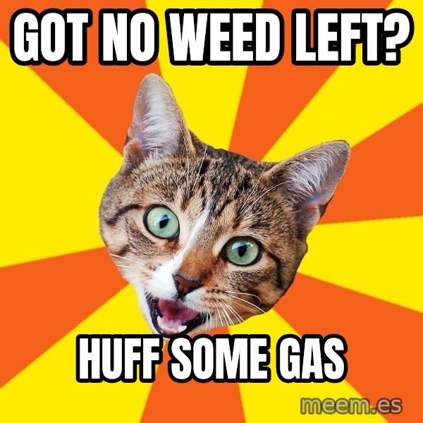 Bad Advice Cat meme: got no weed left? / huff some gas