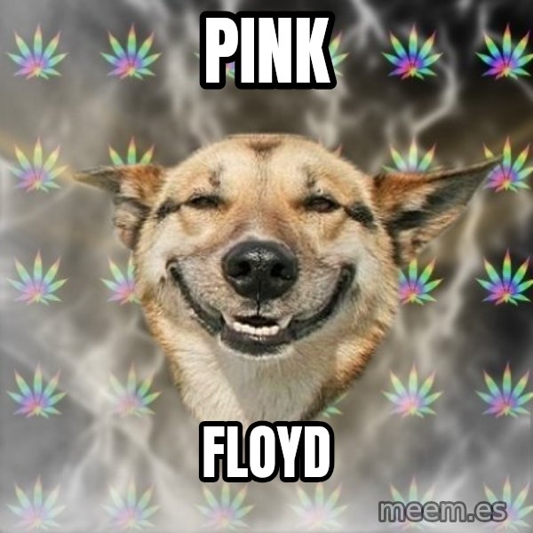 Stoner Dog meme: pink / floyd