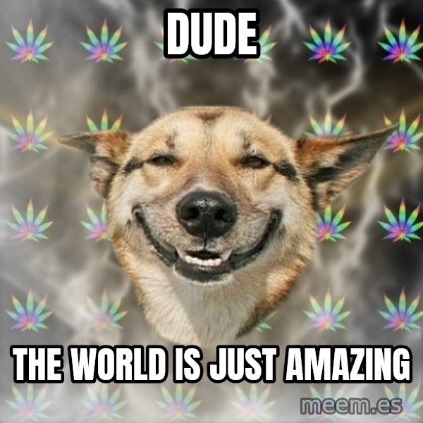 Stoner Dog meme: dude / the world is just amazing
