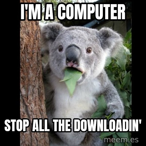 Koala can't believe it meme: I'm A computer / stop all the downloadin'