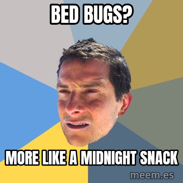 Bear Grylls meme: Bed BUGS? / More like a MIDNIGHT SNACK