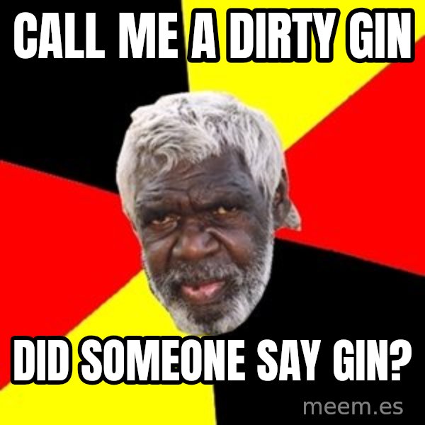 Aboriginal meme: Call me a dirty gIn / Did someone sAy gIn?