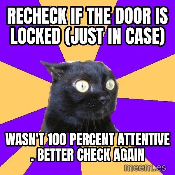 Anxiety Cat meme: recheck if the door is locked (just in case) / wasn't 100 percent attentive . better check again