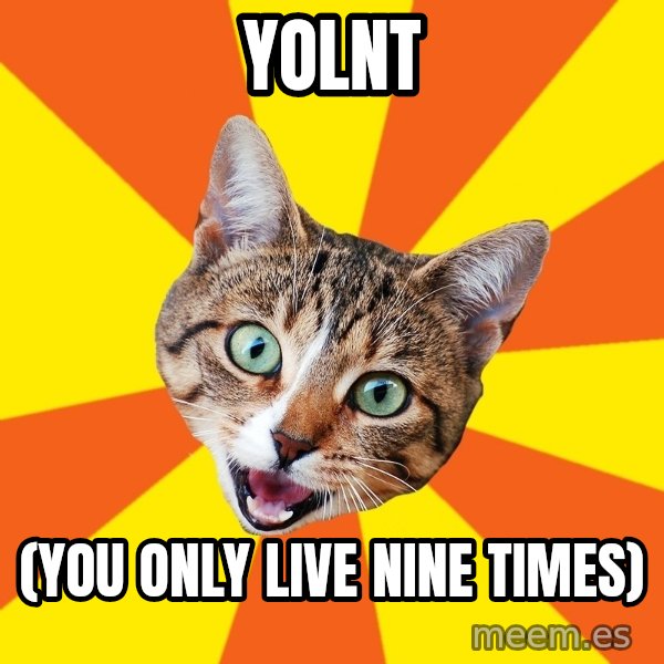 Bad Advice Cat meme: YOLNT / (you only live nine times)