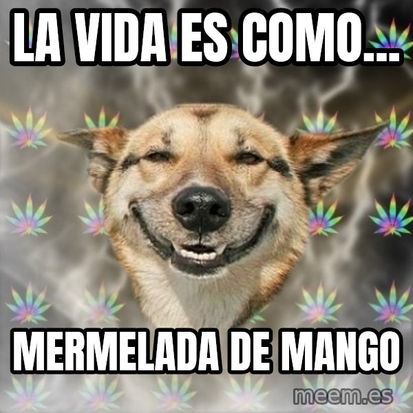 Stoner Dog meme: La vida es como... / mermelada de mango