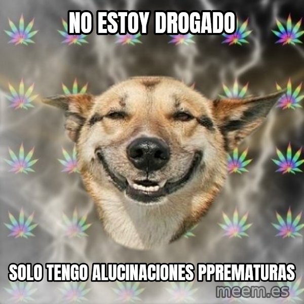 Stoner Dog meme: no estoy drogado / solo tengo alucinaciones pprematuras