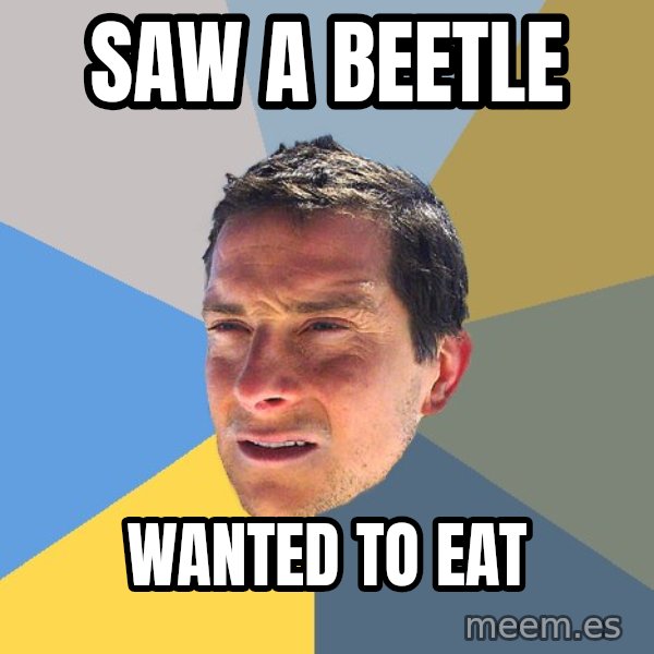 Bear Grylls meme: saw a beetle / wanted to eat