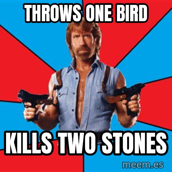 Chuck Norris  meme: throws one bird / kills two stones