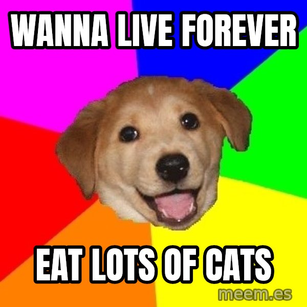 Advice Dog meme: wanna live forever / eat lots of cats