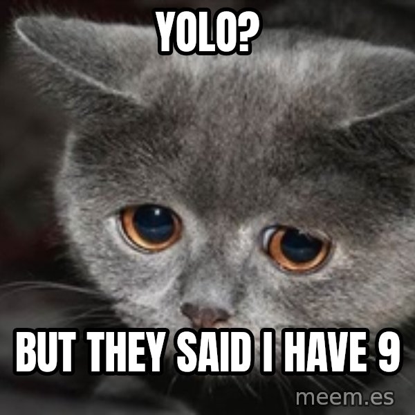 Sadcat meme: Yolo? / But they said I have 9