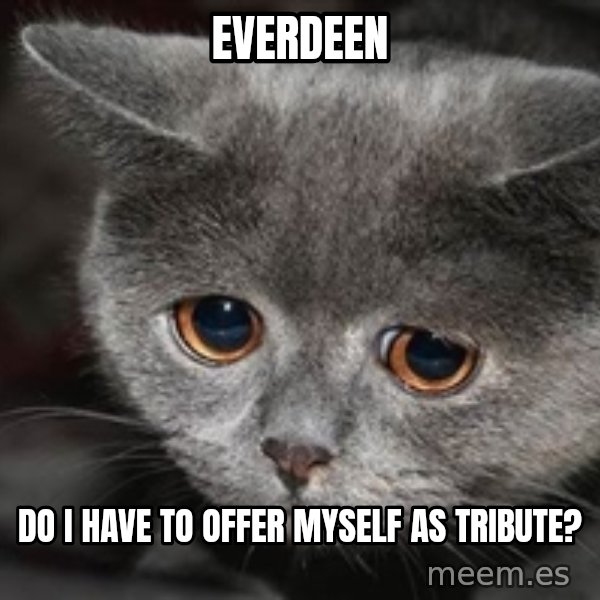 Sadcat meme: EVERDEEN / do i have to offer myself as tribute?