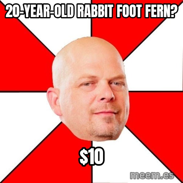 Pawn Stars meme: 20-YEAR-OLD RABBIT FOOT FERN? / $10