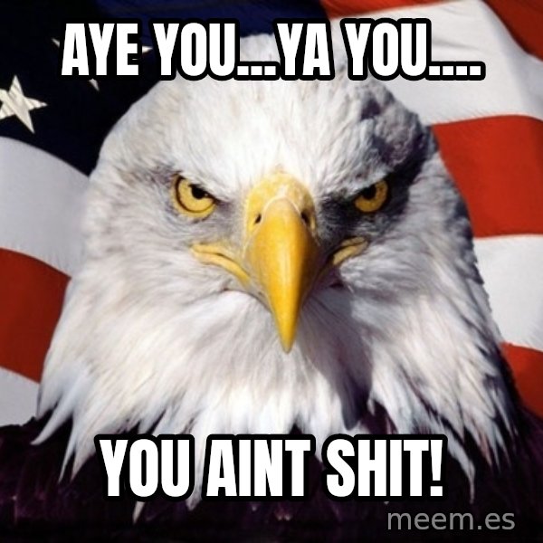 American Pride Eagle meme: AYE YOU...YA YOU.... / YOU AINT SHIT!