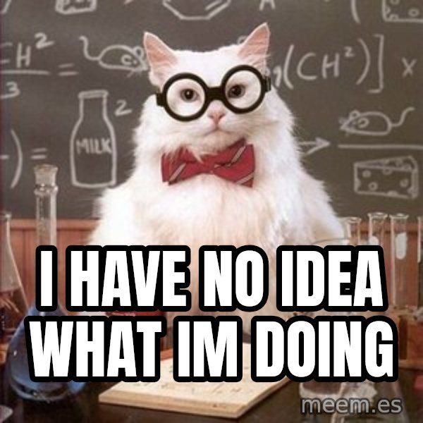 Chemistry Cat meme: I HAVE NO IDEA WHAT IM DOING