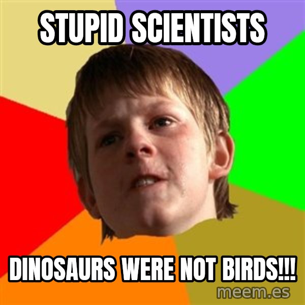 Angry School Boy meme: stupid Scientists / dinosaurs were not birds!!!