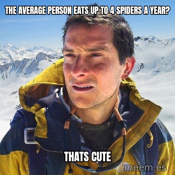 Bear Grylls Loneliness meme: the average person eats up to 4 spiders a year? / thats cute