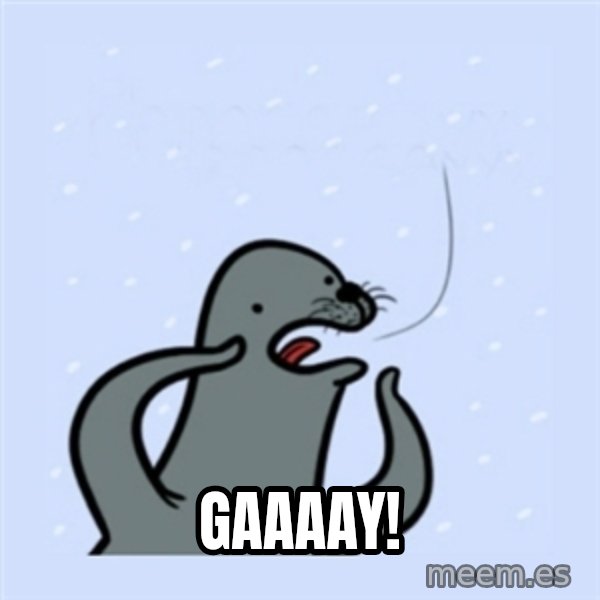 gay seal meme: Gaaaay!