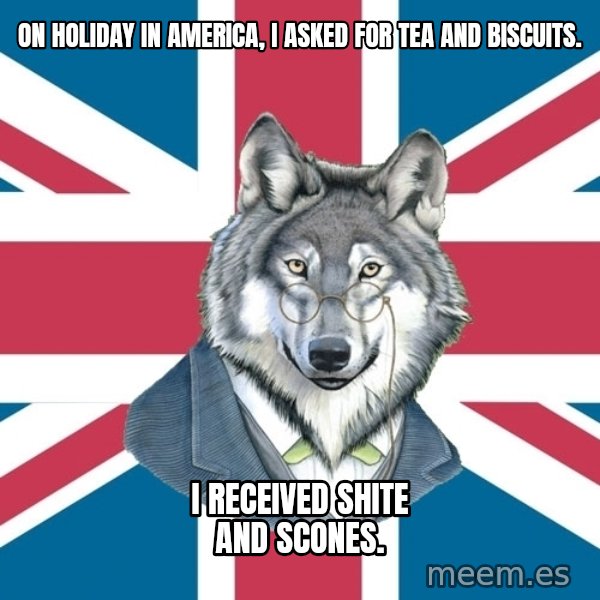 Sir Courage Wolf Esquire meme: On holiday in America, I asked for tea and biscuits. / I RECEIVED shite and scones.