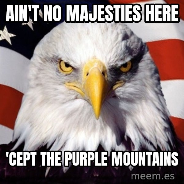 American Pride Eagle meme: ain't no majesties here / 'cept the purple mountains