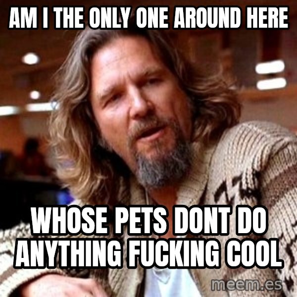 Big Lebowski meme: Am I the Only one around here / whose pets dont do anything fucking cool