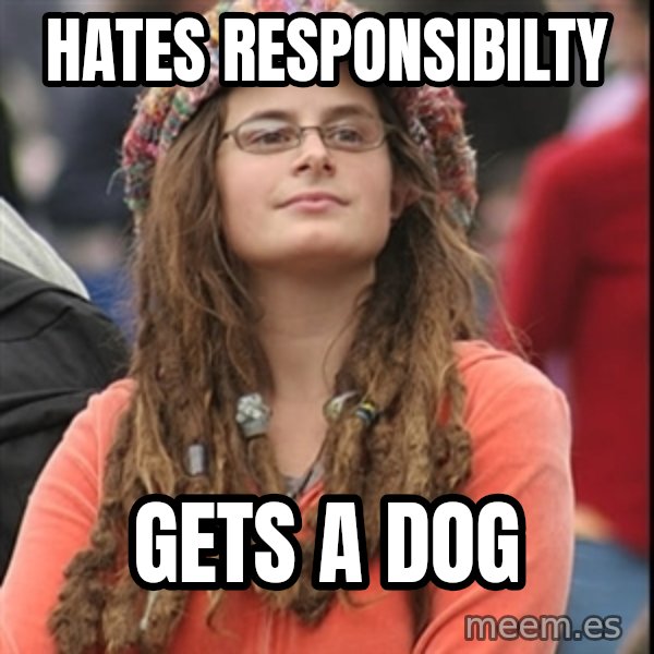 College Liberal meme: HAtes responsibilty / gets a dog