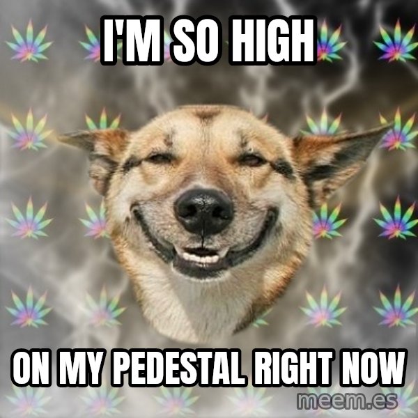 Stoner Dog meme: i'm so high / on my pedestal right now