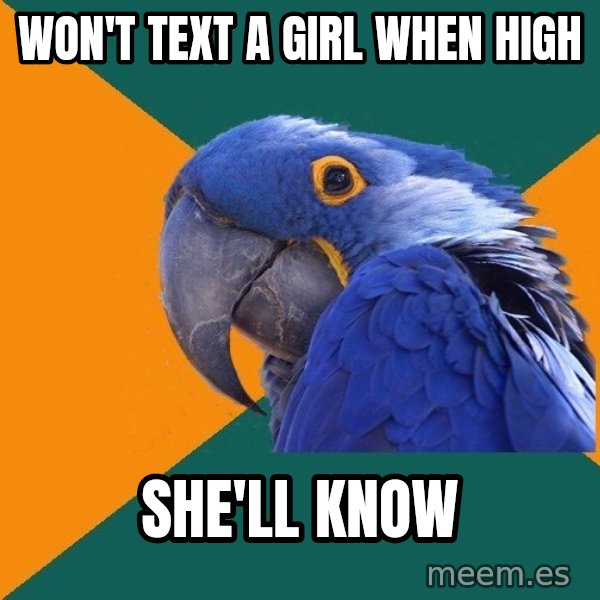 Paranoid Parrot meme: Won't text a girl when High / She'll know