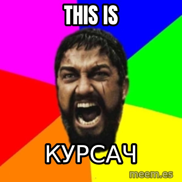 sparta meme: THIS IS / Курсач