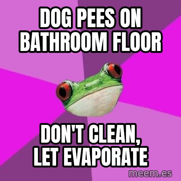 Foul Bachelorette Frog meme: Dog pees on Bathroom floor / don't clean, let evaporate