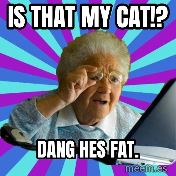 old lady meme: Is that my cat!? / Dang hes fat.