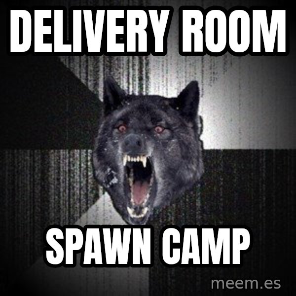 Insanity Wolf meme: Delivery room / spawn camp