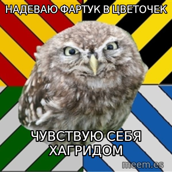 JEALOUS POTTEROMAN meme: Надеваю Фартук в цветочек / чувствую себя хагридом