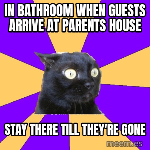 Anxiety Cat meme: in bathroom when guests arrive at parents house / stay there till they're gone