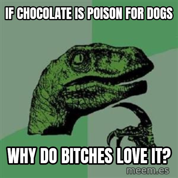 Philosoraptor meme: if chocolate is poison for dogs / why do bitches love it?