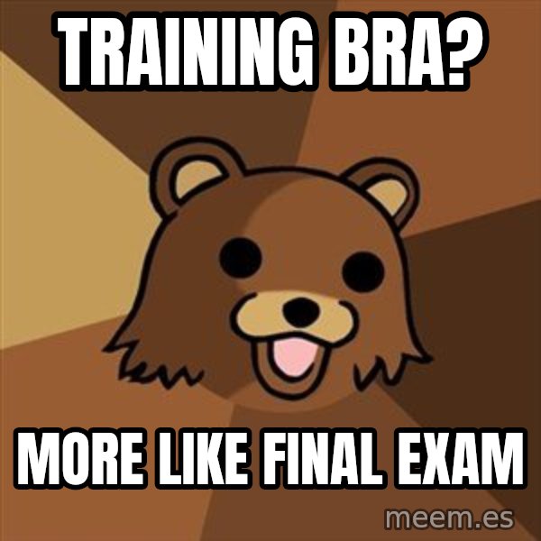 Pedobear meme: training bra? / more like final exam