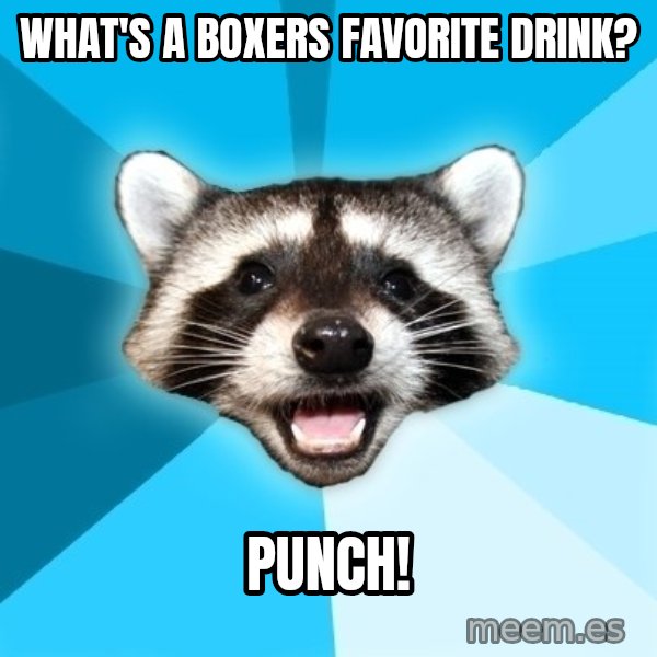 Lame Pun Coon meme: What's a boxers favorite drink? / punch!