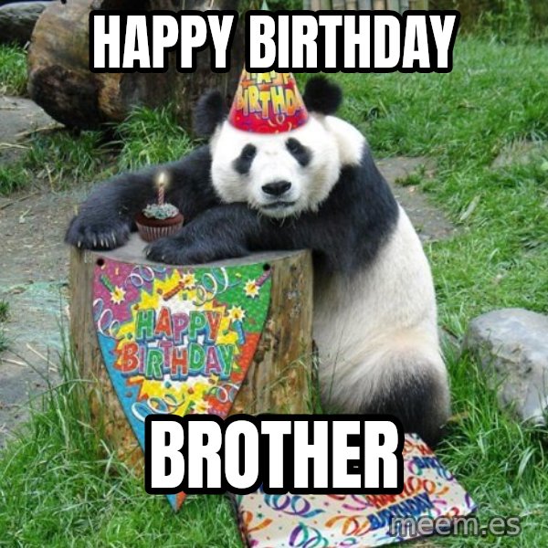 Happy Birthday Panda meme: HAPPY BIRTHDAY / BROTHER