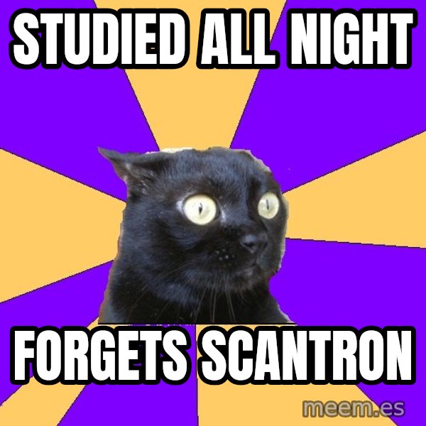 Anxiety Cat meme: Studied all night / Forgets scantron