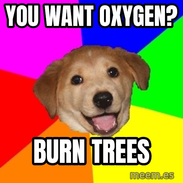 Advice Dog meme: You want Oxygen? / Burn trees