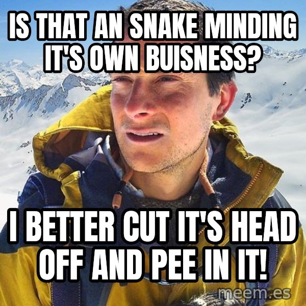 Bear Grylls meme: Is that an snake minding it's own buisness? / I better cut it's head off and pee in it!