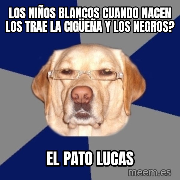Racist Dawg meme: Los niños blancos cuando nacen los trae la cigüeña y los negros? / El pato Lucas