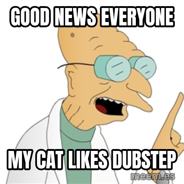 Good News Everyone meme: Good news everyone / My cat likes dubstep